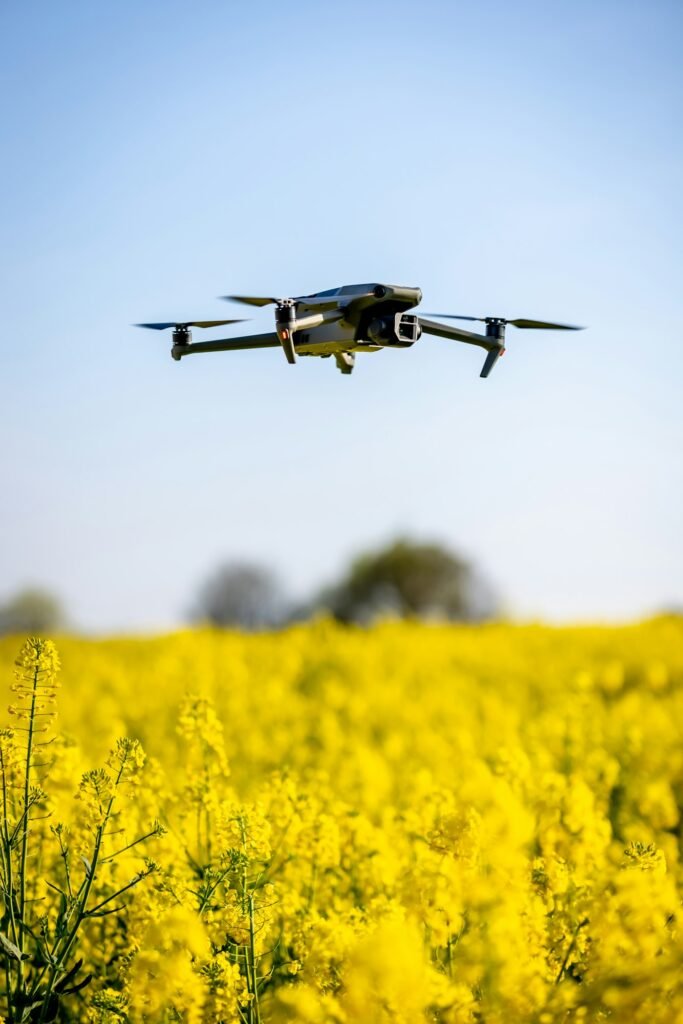 Drone Flying Over Oilseed